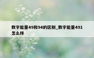 数字能量49和94的区别_数字能量491怎么样