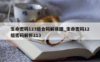 生命密码 123 组合码解读图_生命密码 12 组密码解析 213