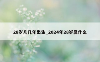 28岁几几年出生_2024年28岁属什么