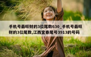 手机号最旺财的 3 位尾数 630_手机号最旺财的 3 位尾数, 江西宜春尾号 3913 的号码