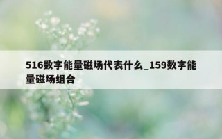 516 数字能量磁场代表什么_159 数字能量磁场组合