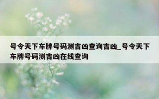 号令天下车牌号码测吉凶查询吉凶_号令天下车牌号码测吉凶在线查询