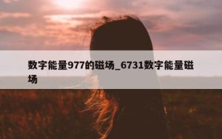 数字能量 977 的磁场_6731 数字能量磁场