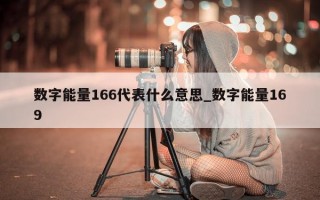 数字能量 166 代表什么意思_数字能量 169