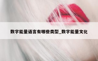 数字能量语言有哪些类型_数字能量文化