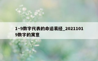 1～9 数字代表的命运易经_20211019 数字的寓意