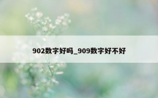 902 数字好吗_909 数字好不好