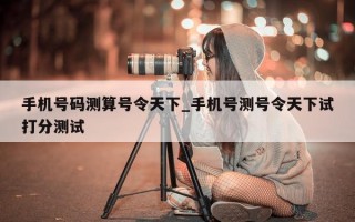 手机号码测算号令天下_手机号测号令天下试打分测试