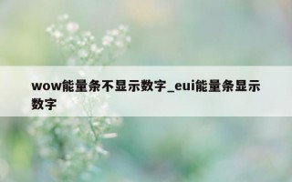 wow 能量条不显示数字_eui 能量条显示数字