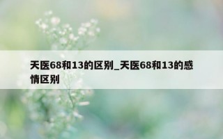 天医 68 和 13 的区别_天医 68 和 13 的感情区别