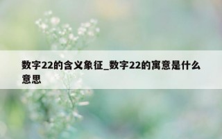 数字22的含义象征_数字22的寓意是什么意思