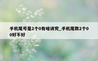 手机尾号是 2 个 0 有啥讲究_手机尾数 2 个 00 好不好