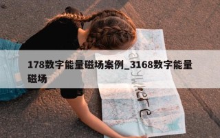 178 数字能量磁场案例_3168 数字能量磁场