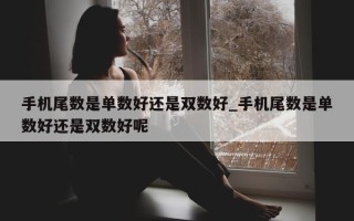 手机尾数是单数好还是双数好_手机尾数是单数好还是双数好呢