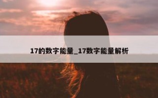 17 的数字能量_17 数字能量解析