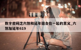 数字密码之六煞和延年组合在一起的意义_六煞加延年 619