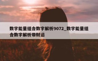 数字能量组合数字解析 9072_数字能量组合数字解析带财运