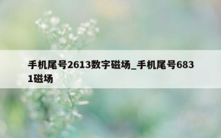 手机尾号 2613 数字磁场_手机尾号 6831 磁场