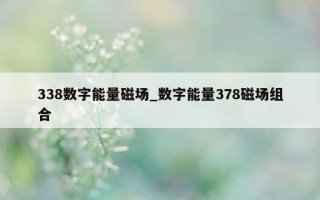 338 数字能量磁场_数字能量 378 磁场组合