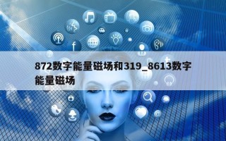 872 数字能量磁场和 319_8613 数字能量磁场