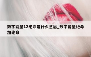 数字能量 12 绝命是什么意思_数字能量绝命加绝命