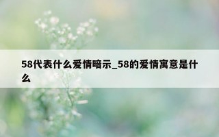 58 代表什么爱情暗示_58 的爱情寓意是什么