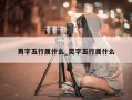 男字五行属什么_炅字五行属什么