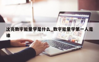 沈亮数字能量学是什么_数字能量学第一人是谁