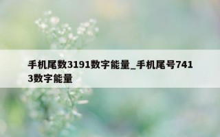 手机尾数 3191 数字能量_手机尾号 7413 数字能量