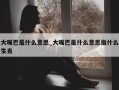 大嘴巴是什么意思_大嘴巴是什么意思指什么生肖