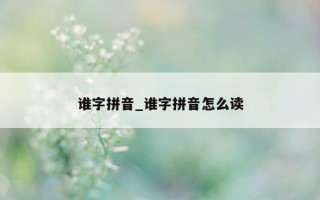 谁字拼音_谁字拼音怎么读