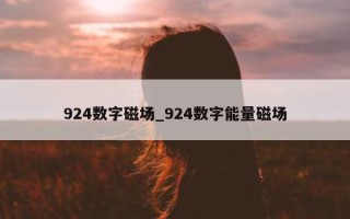 924 数字磁场_924 数字能量磁场