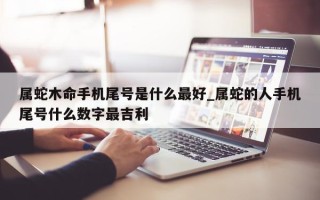 属蛇木命手机尾号是什么最好_属蛇的人手机尾号什么数字最吉利