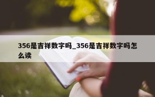 356 是吉祥数字吗_356 是吉祥数字吗怎么读