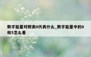 数字能量对照表 0 代表什么_数字能量中的 0 和 5 怎么看