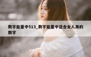 数字能量中 513_数字能量中适合女人用的数字