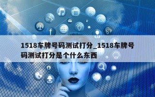 1518 车牌号码测试打分_1518 车牌号码测试打分是个什么东西