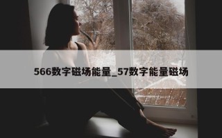 566 数字磁场能量_57 数字能量磁场