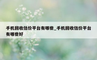 手机回收估价平台有哪些_手机回收估价平台有哪些好