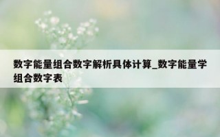 数字能量组合数字解析具体计算_数字能量学组合数字表