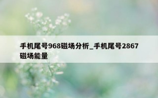 手机尾号 968 磁场分析_手机尾号 2867 磁场能量