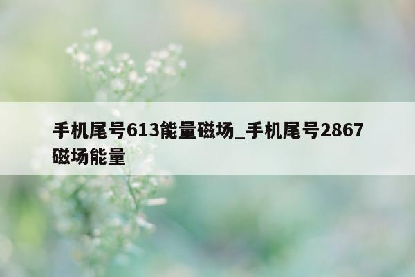 手机尾号 613 能量磁场_手机尾号 2867 磁场能量 - 第 1 张图片 - 小城生活