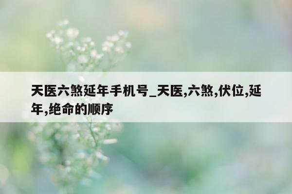 天医六煞延年手机号_天医, 六煞, 伏位, 延年, 绝命的顺序 - 第 1 张图片 - 小城生活