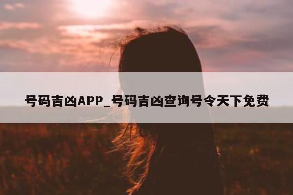 号码吉凶 APP_号码吉凶查询号令天下免费 - 第 1 张图片 - 小城生活