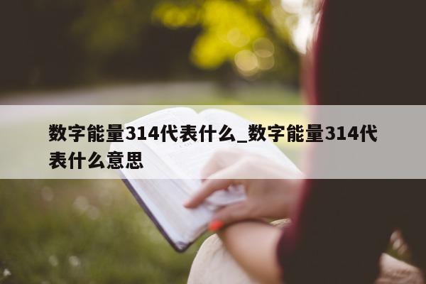 数字能量 314 代表什么_数字能量 314 代表什么意思 - 第 1 张图片 - 小城生活