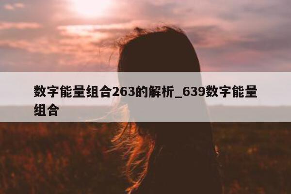 数字能量组合 263 的解析_639 数字能量组合 - 第 1 张图片 - 小城生活