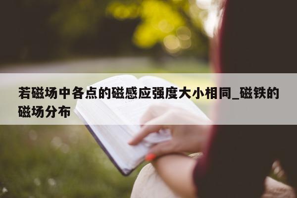 若磁场中各点的磁感应强度大小相同_磁铁的磁场分布 - 第 1 张图片 - 小城生活