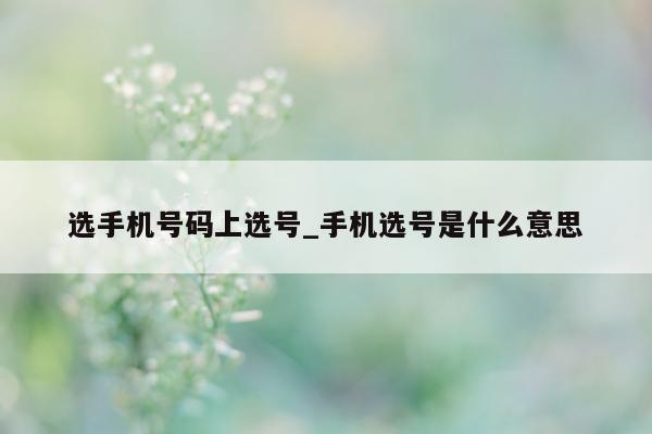 选手机号码上选号_手机选号是什么意思 - 第 1 张图片 - 小城生活