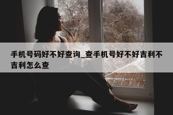 手机号码好不好查询_查手机号好不好吉利不吉利怎么查 - 第 1 张图片 - 小城生活