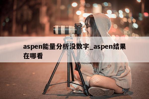 aspen 能量分析没数字_aspen 结果在哪看 - 第 1 张图片 - 小城生活